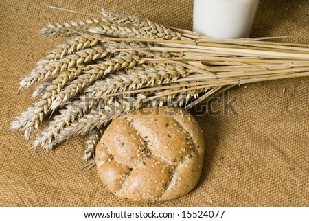 bread wheat and milk