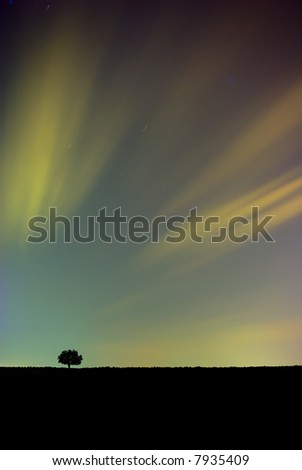 long exposure night shot with a single tree and colorful clouds lit by city lights