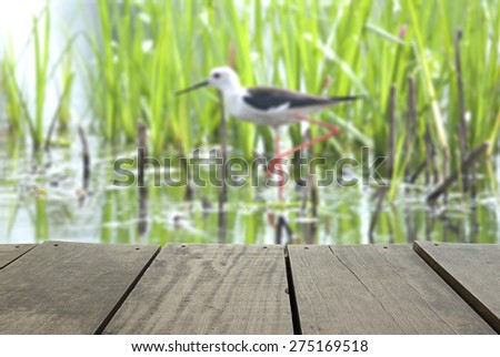 Defocus and blur image of terrace wood and Black-Winged Stilt searching for some to eat for background usage