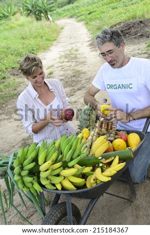 Organic farming: Customer buying fresh vegetables and fruits direct from local farmer