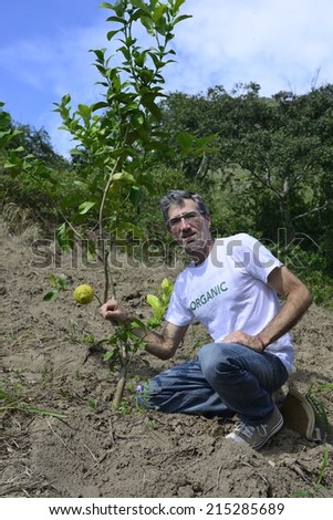 Bad harvest: Organic farmer with small orange tree