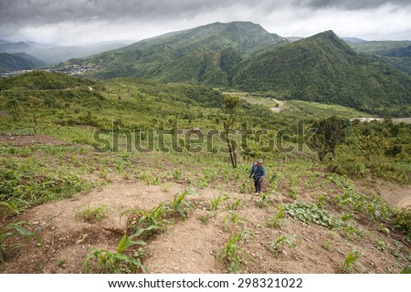 CHIN STATE, MYANMAR - JUNE 22 2015: Farmer tends to crops in the only recently opened for tourists Chin State Mountainous Region, Myanmar (Burma)