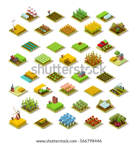 Isometric farm house building staff farming agriculture wheat field scene. 3D isometric barley city map icon set game tile collection. Farmland isometric tractor corn plant vector illustration