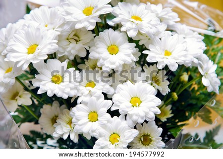 detail of bouquet of daisies