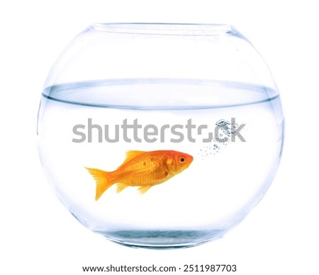 Similar – Image, Stock Photo aquarium Aquarium