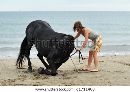 kneeling black stallion on the beach with young woman