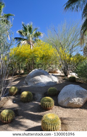 A variety of desert plants create an oasis in the town of Palm Desert, California.