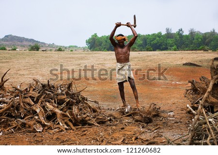 GOKARNA, INDIA - JAN 14; Woodcutter works in a field at the hot day on January 14, 2010, in Gokarna, India. South Indian town Gokarna with population 25,851 lies on the coastal region of Karnataka.