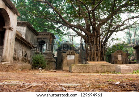 KOLKATA, INDIA - JAN 18: Old trees and ancient gravestones in South Park Street Cemetery on January 18, 2013 in Kolkata, India. Opened in 1767, The Cemetery was the largest Christian cemetery in Asia