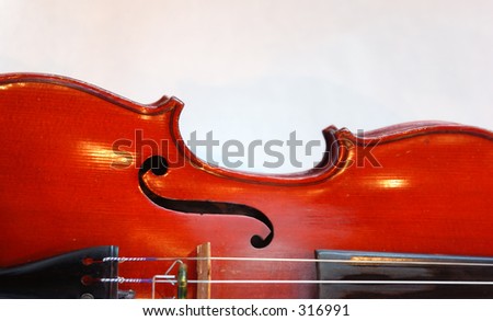 Curved back of a violin