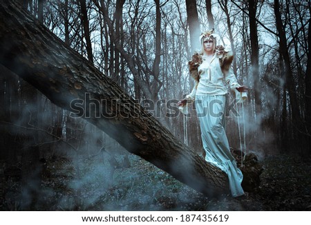 Romantic wild beauty tribal woman in fox costume in wild forest. Vintage styled