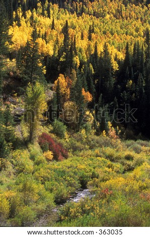 foliage colors in Utah mountains