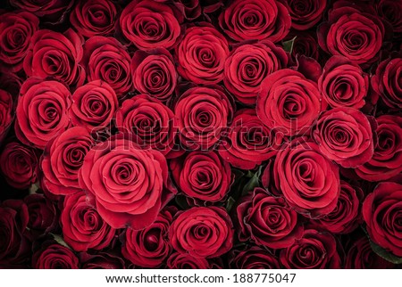Closeup of bouquet of red roses. Vintage style