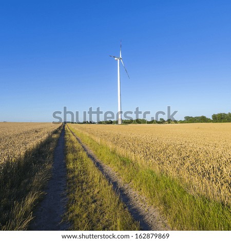 windmill Pinwheel wind turbine wind farm on Agriculture landscape with blue sky and cornfield land route