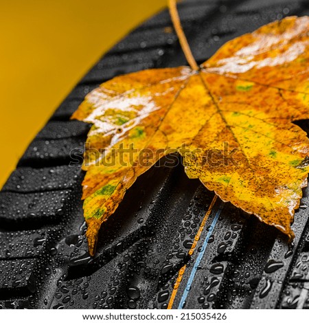 Car tire with Raindrops and autumn leaves on brown background