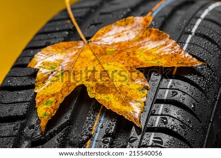 Every year Tire change in autumn
