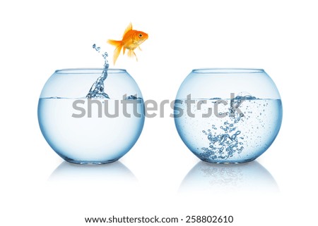 Similar – Foto Bild Fischglas mit Wasserspritzaufschlag