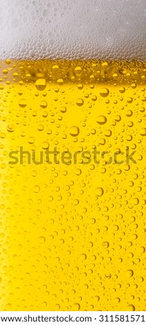 cold golden beer with dew drops