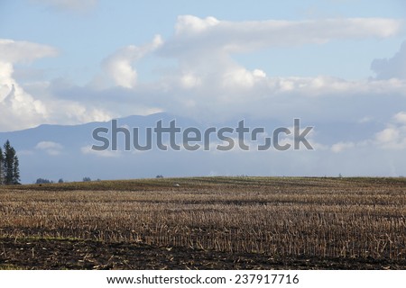 A harvested cornfield in Washington State during the winter months/Dormant Washington Winter Cornfield/A harvested cornfield in Washington State during the winter months.