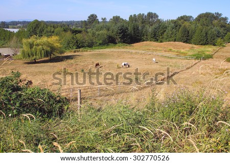 Summer pastureland for grazing horses/Livestock Grazing Land/Summer pastureland for grazing horses.