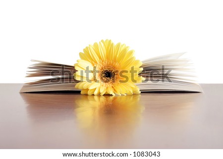 Open book with yellow flower