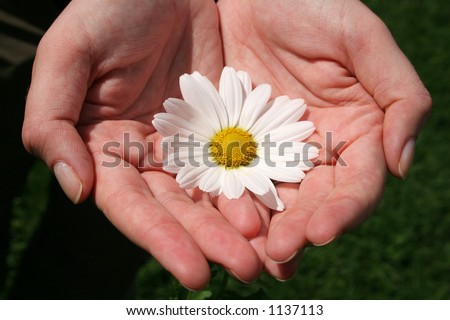 Cupped hands holding white flower