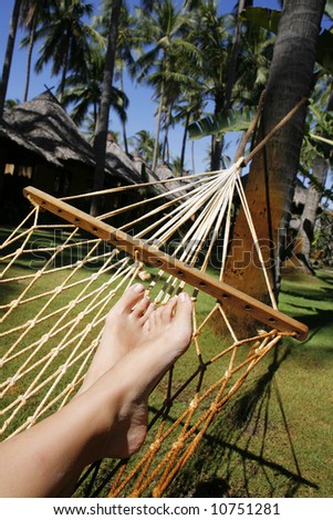 Women\'s feet in a hammock in a palm grove