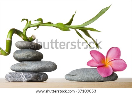 Stone stacks with tropical flowers and lucky bamboo