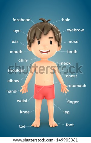 3d Render Of A Boy Showing Parts Of The Body Stock Photo 149905061 ...