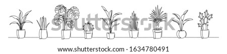 Set of continuous one line drawing of a flowers in a pots. Beautiful flowers isolated on a white background. Vector illustration