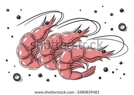 Red shrimps with spices isolated on white background. Shrimps to design menu in cartoon style. Vector illustration