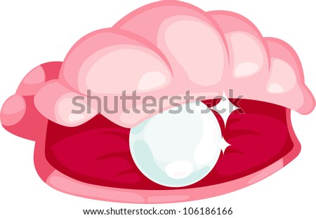 illustration Pearl oysters vector