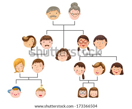 Family Tree Stock Vector Illustration 173366504 : Shutterstock