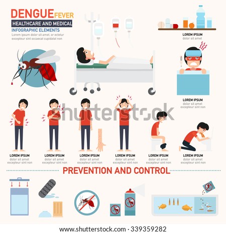 Dengue fever infographics. vector illustration.
