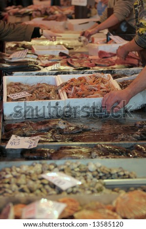 Fresh fish market, prices in euro, labels in Italian