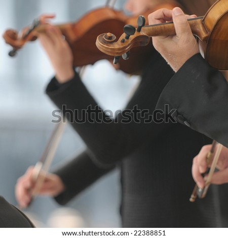 Violin players during an outdoor exhibition. Focus on nearest.