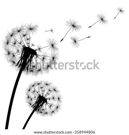 black silhouette with flying dandelion buds on a white background
