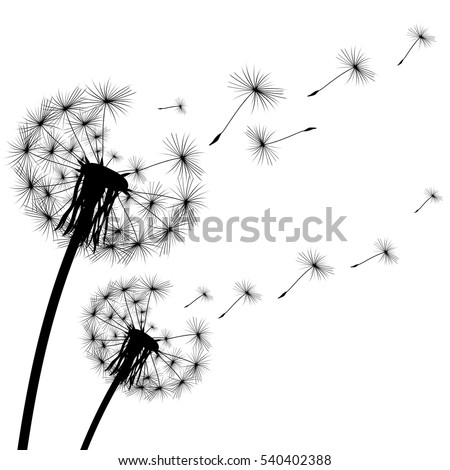 black silhouette of a dandelion on a white background.