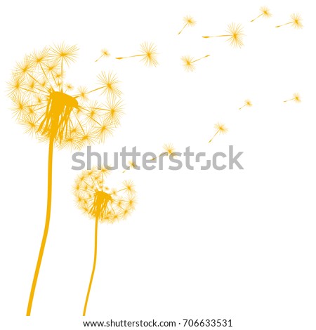 Silhouette of a dandelion on a white background