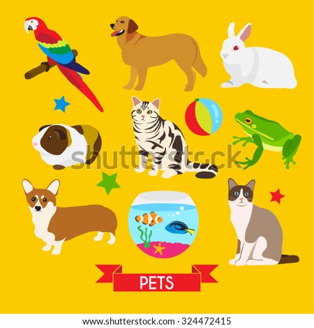 Pet Vector Design Illustration - 324472415 : Shutterstock