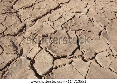Cracked mud tiles in dry river bed. Hutt River, Western Australia