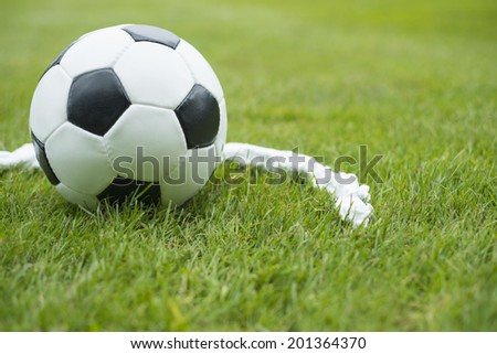 Soccer ball foam spray free kick line