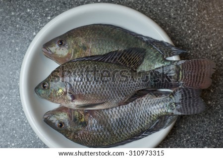 Freshly caught tilapia fish from local aquaculture on white plate ready for your cooking recipe