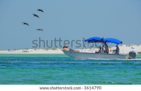 Family on Leisure Boat with Pelicans Overhead