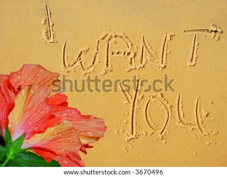 I WANT YOU Written in Beach Sand Next to Wet Hibiscus Blossom