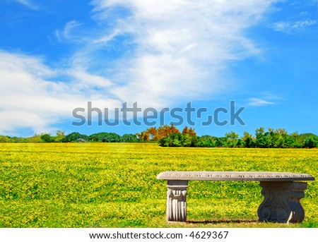 Empty Stone Bench in Beautiful Golden Meadow