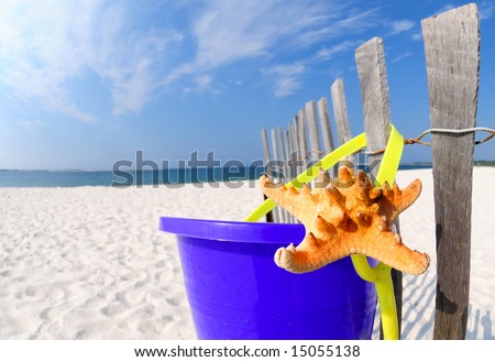 Starfish and sand pail next to dune fence on pretty beach