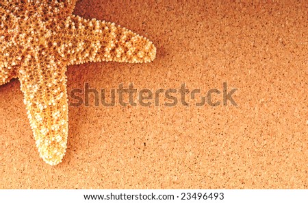 Pretty starfish on tan textured background