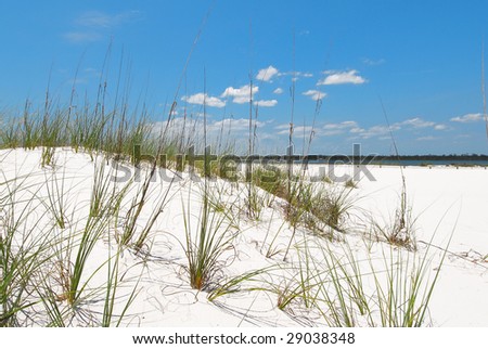 Beautiful Sand Dune In Florida Panhandle Stock Photo 29038348 ...