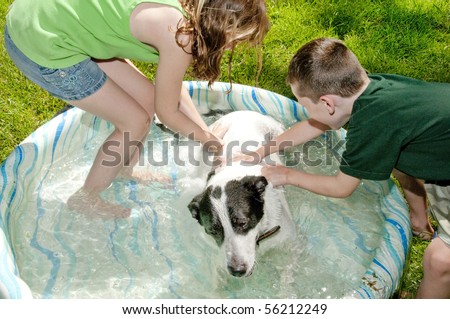 Young kids washing dog in kiddie pool